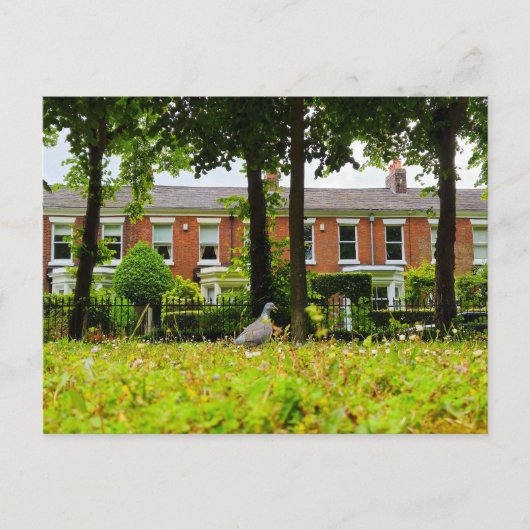vogel briefkaart (Voorkant)