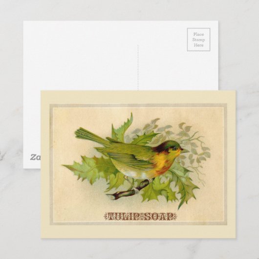  vogel briefkaart (Voorkant / Achterkant)