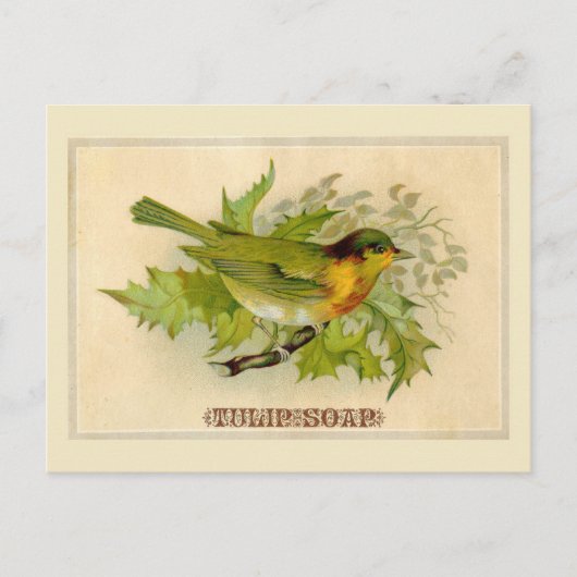  vogel briefkaart (Voorkant)