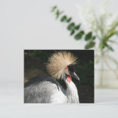 vogel briefkaart (Staand voorkant)