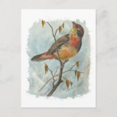  vogel briefkaart (Voorkant)