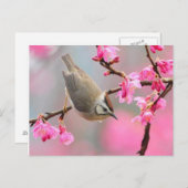 vogel briefkaart (Voorkant / Achterkant)