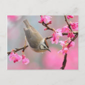 vogel briefkaart (Voorkant)