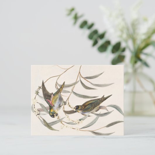  vogel briefkaart (Staand voorkant)