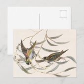  vogel briefkaart (Voorkant / Achterkant)