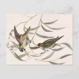 vogel briefkaart