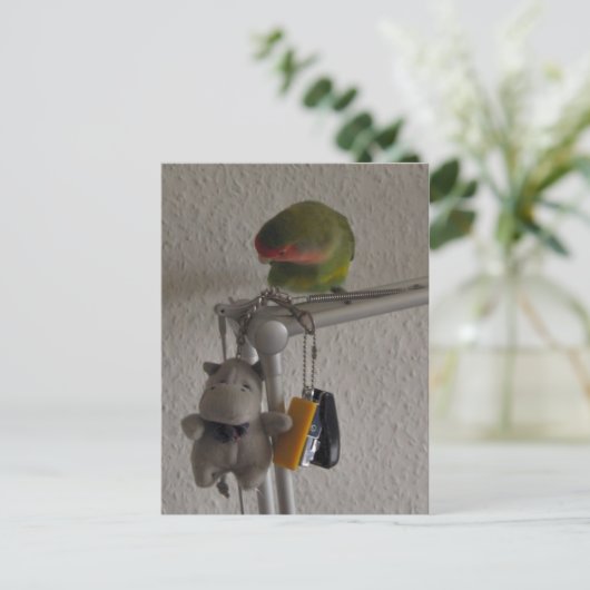 Vogel Briefkaart (Staand voorkant)