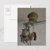 Vogel Briefkaart (Voorkant / Achterkant)