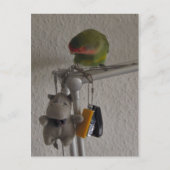 Vogel Briefkaart (Voorkant)