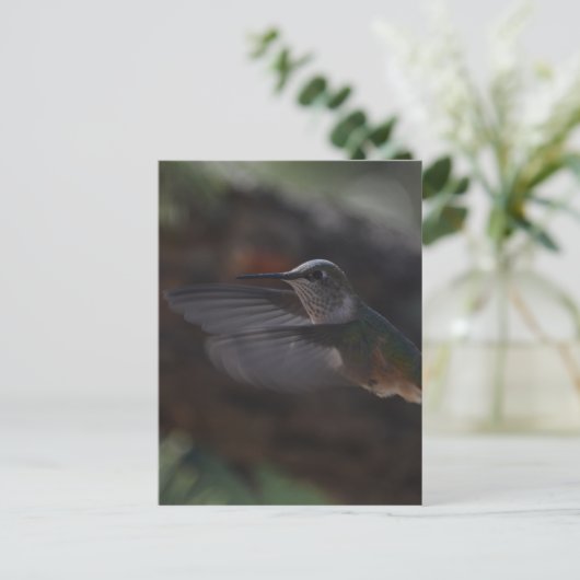 Vogel Briefkaart (Staand voorkant)