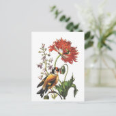 vogel briefkaart (Staand voorkant)