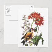 vogel briefkaart (Voorkant / Achterkant)