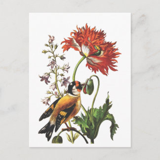 vogel briefkaart