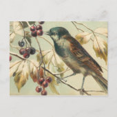 vogel briefkaart (Voorkant)