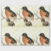 vogel cadeaupapier (Vlak)