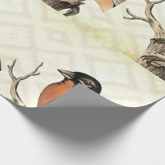 vogel cadeaupapier (Hoek)