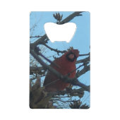 vogel creditkaart flessenopener (Voorkant)