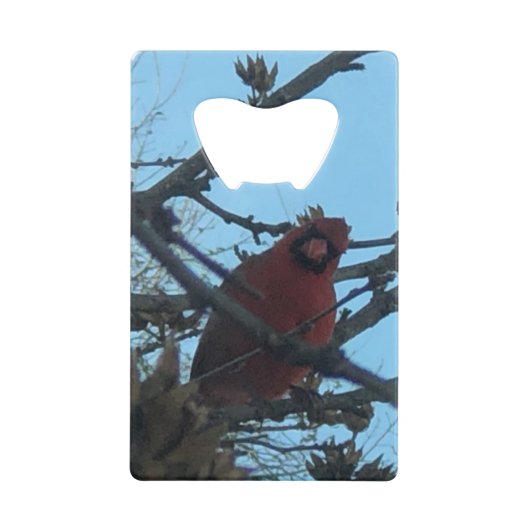 vogel creditkaart flessenopener (Voorkant)