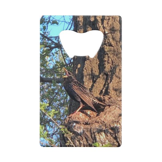 vogel creditkaart flessenopener (Achterkant)