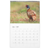 Vögel der Nordsee Kalender (Mar 2027)