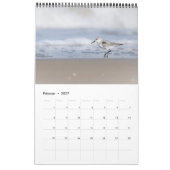 Vögel der Nordsee Kalender (Feb 2027)