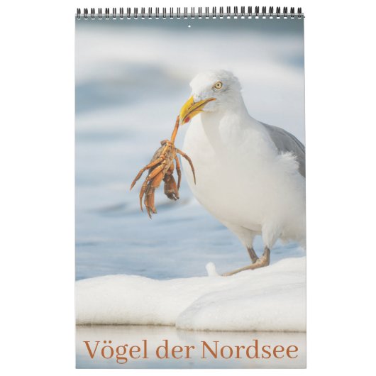Vögel der Nordsee Kalender (Hoes)
