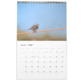 Vögel der Nordsee Kalender (Jan 2027)