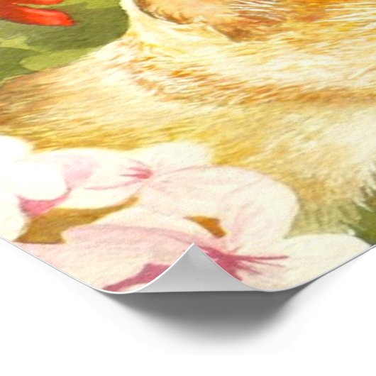 Vogel die "licht" kijkt poster (Hoek)