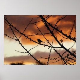 Vogel die op een boom staat met een zonsopgang in  poster