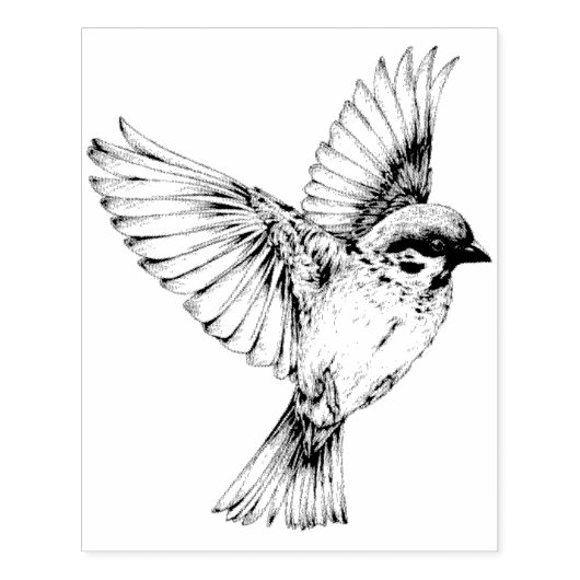 Vogel die  rubberen kunststempel gebruikt rubberstempel (Afrduk)