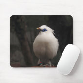 Vogel, dier, natuur muismat (Met muis)