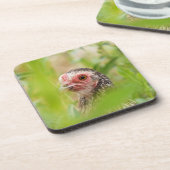 vogel drankjes onderzetter (Linkerzijde)