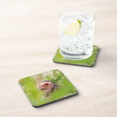 vogel drankjes onderzetter (Rechterzijde)