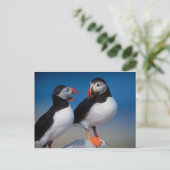vogel een paar puffins briefkaart (Staand voorkant)