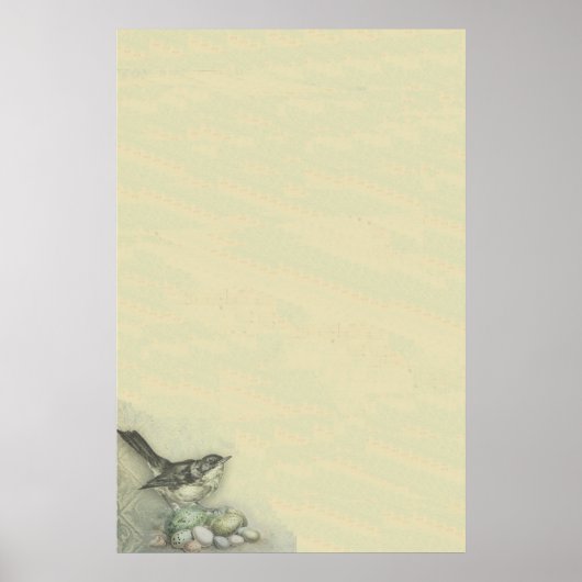 Vogel & Eieren Biggrd Poster (Voorkant)
