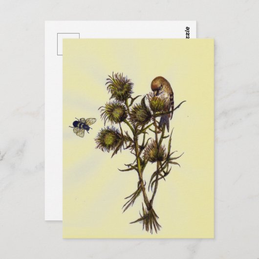 Vogel en bijen briefkaart (Voorkant / Achterkant)