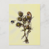 Vogel en bijen briefkaart (Voorkant)