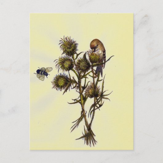 Vogel en bijen briefkaart (Voorkant)
