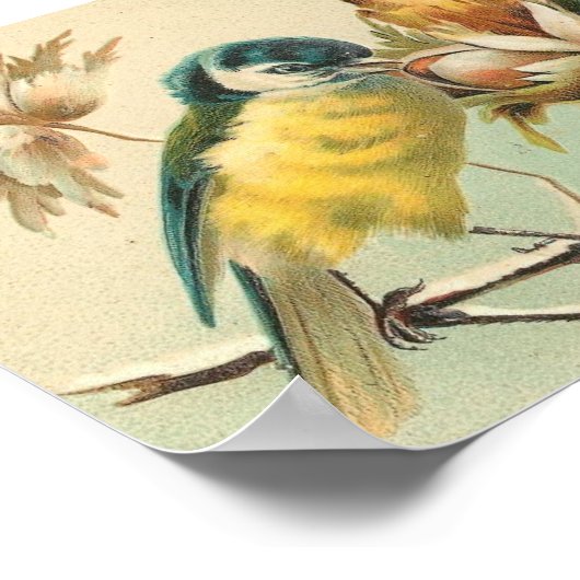  vogel en bijkantoren poster (Hoek)