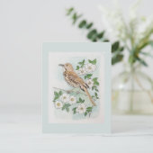 Vogel en bloem van de staat Georgia  Briefkaart (Staand voorkant)
