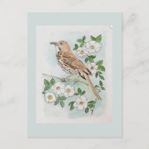 Vogel en bloem van de staat Georgia Briefkaart