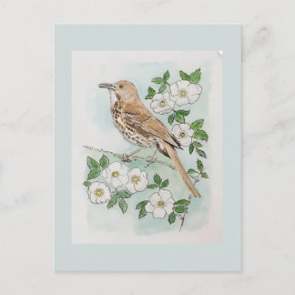 Vogel en bloem van de staat Georgia  Briefkaart