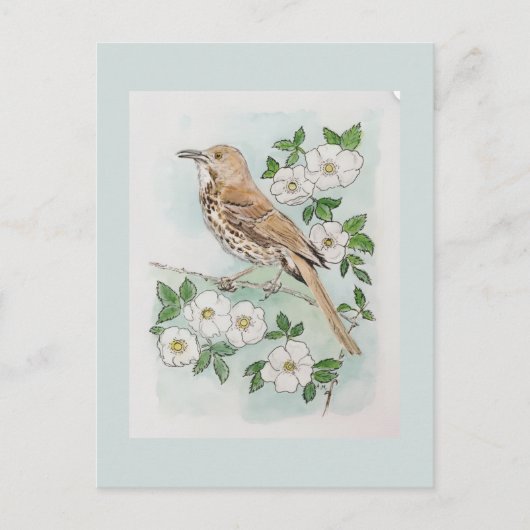 Vogel en bloem van de staat Georgia  Briefkaart (Voorkant)