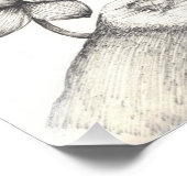 Vogel en bloemkool foto afdruk (Hoek)