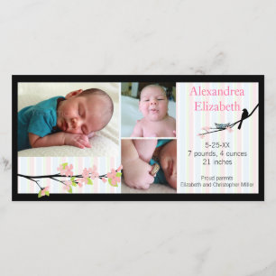 Vogel en bloesems in Roze Foto Aankondiging geboor