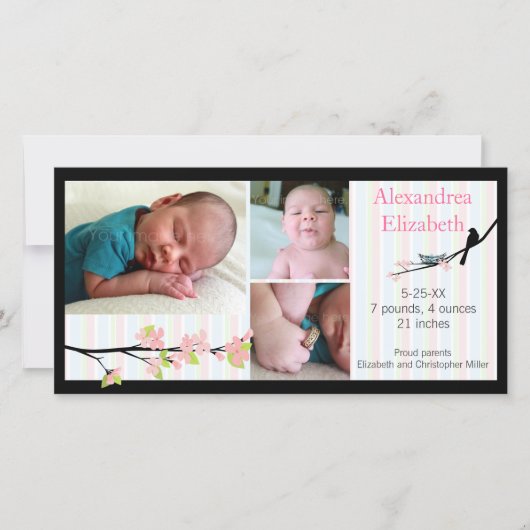 Vogel en bloesems in roze foto geboorte aankondigi aankondiging (Voorkant)