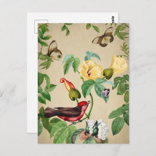  vogel- en botervliegen briefkaart (Voorkant / Achterkant)