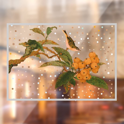 Vogel- en fruitraamkoeling raamsticker (Vel 2)