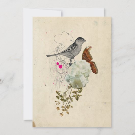 Vogel en mot Blank Kaart (Voorkant)