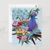 vogel en nest briefkaart (Voorkant / Achterkant)